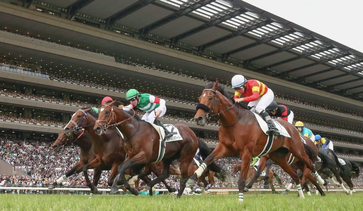 Lovcen chases Japanese Derby crown as Realize Sirius looms large