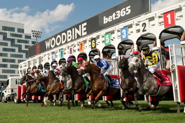 Woodbine secures purse boost and breeders’ awards for 2026 season