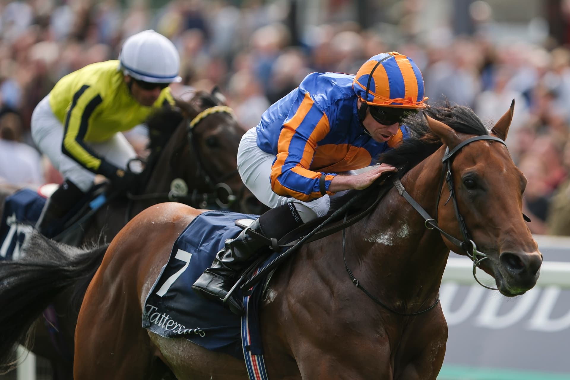 Gstaad leads Irish Two Thousand Guineas field, O’Brien targets 13th win