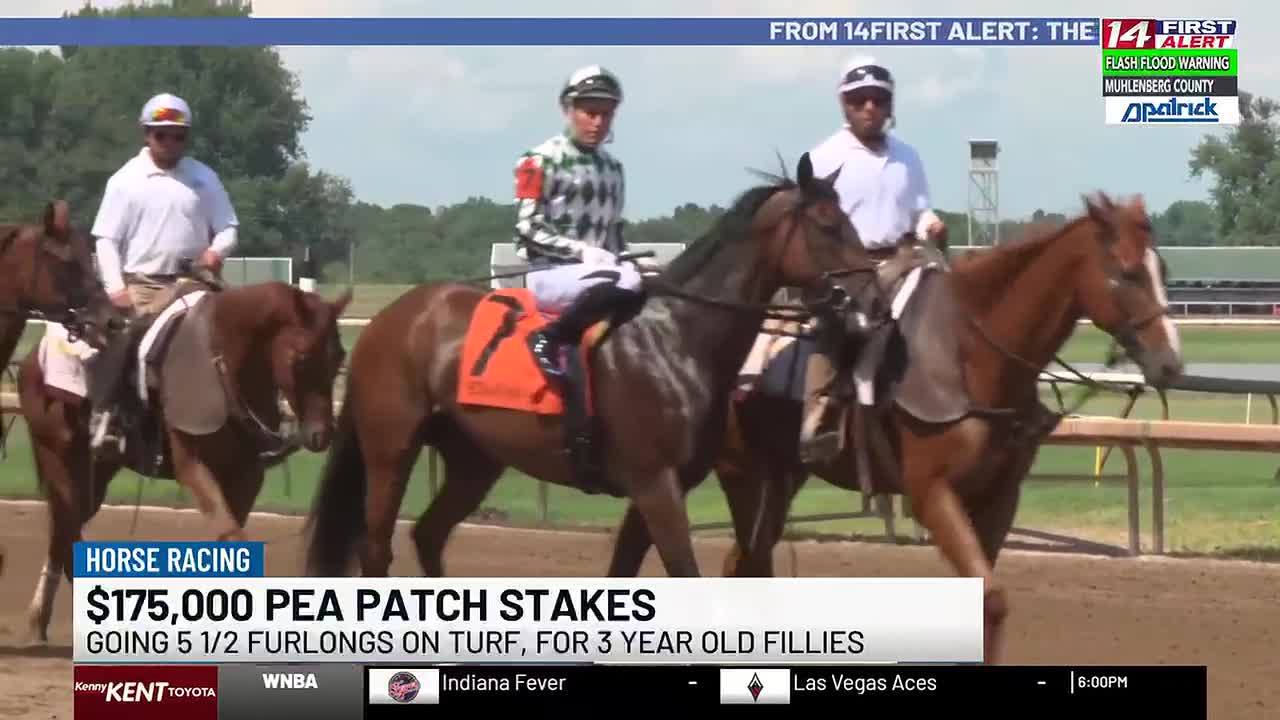 Triskelion edges Beach Heist in tight Pea Patch Stakes finish
