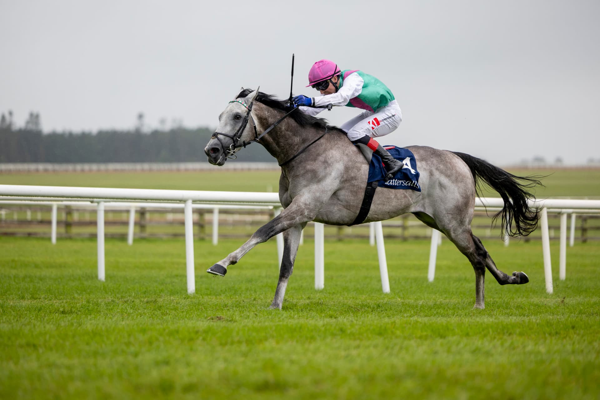 Field Of Gold retired to stand at Juddmonte in 2027