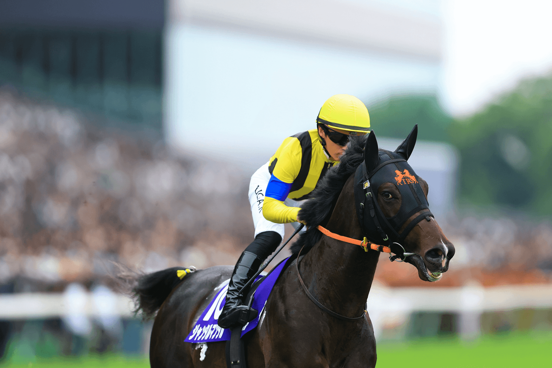 Japanese star Jantar Mantar retires after four Group 1 wins