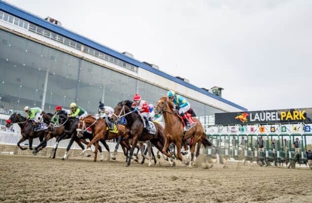 Obliteration powers to Chick Lang Stakes win at Laurel Park