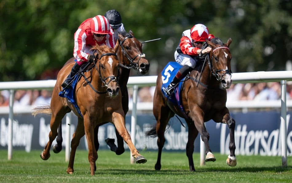Senorita Bonita lands Group 2 Duchess of Cambridge Stakes at Newmarket