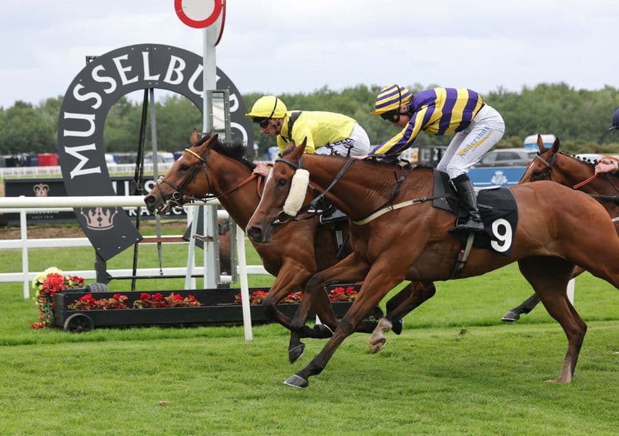 Haayimm wins at Musselburgh, targets Newmarket or Glorious Goodwood