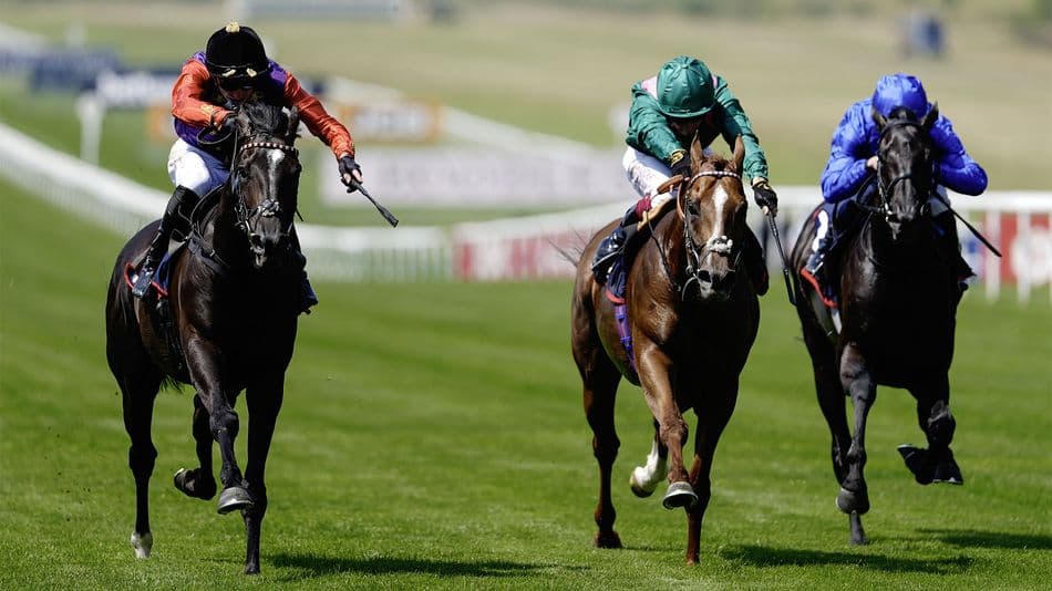 Point Of Law wins Bahrain Trophy, surges into St Leger contention