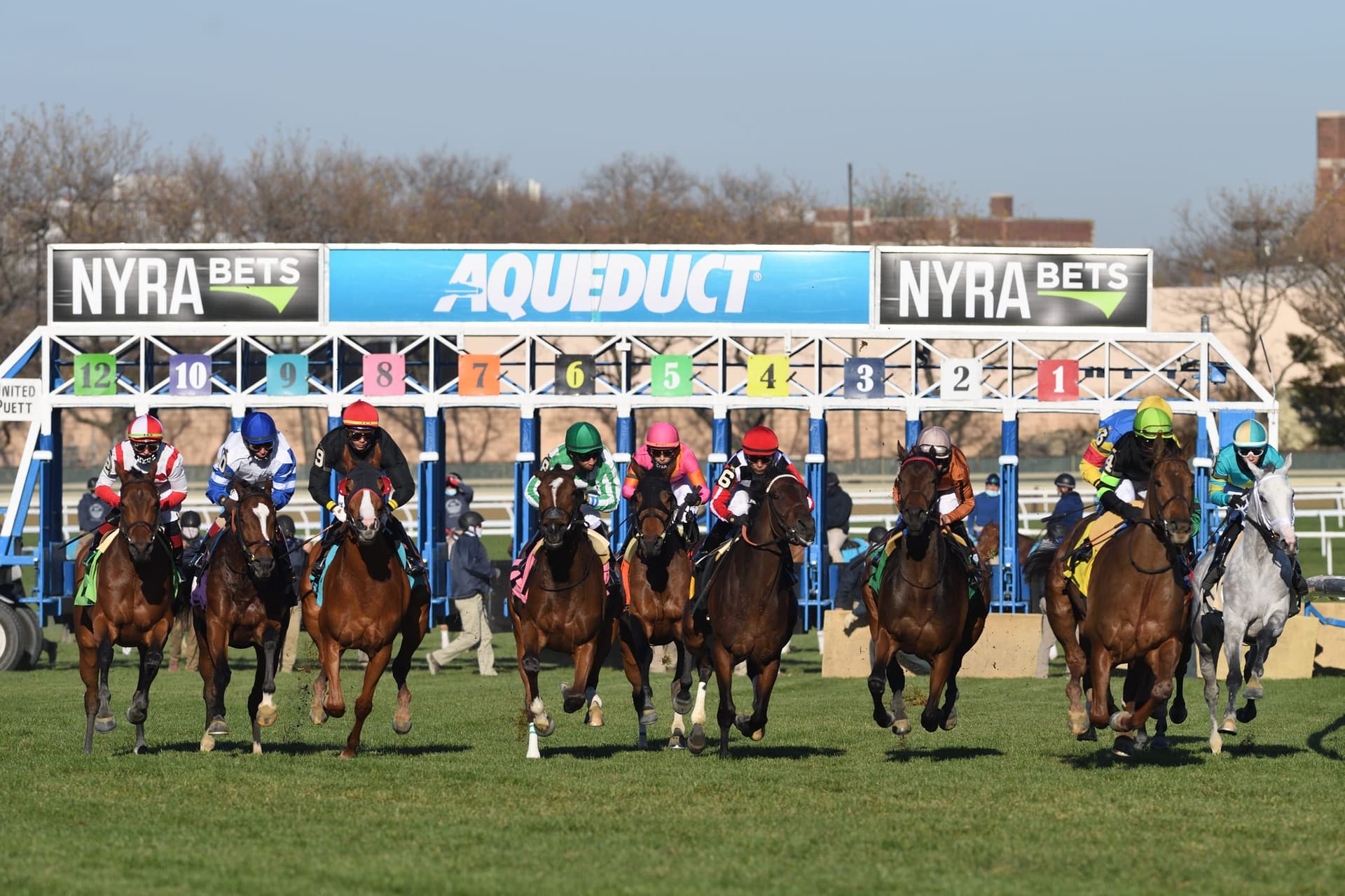 Matilda headlines Aqueduct turf test in U.S. debut after German upset