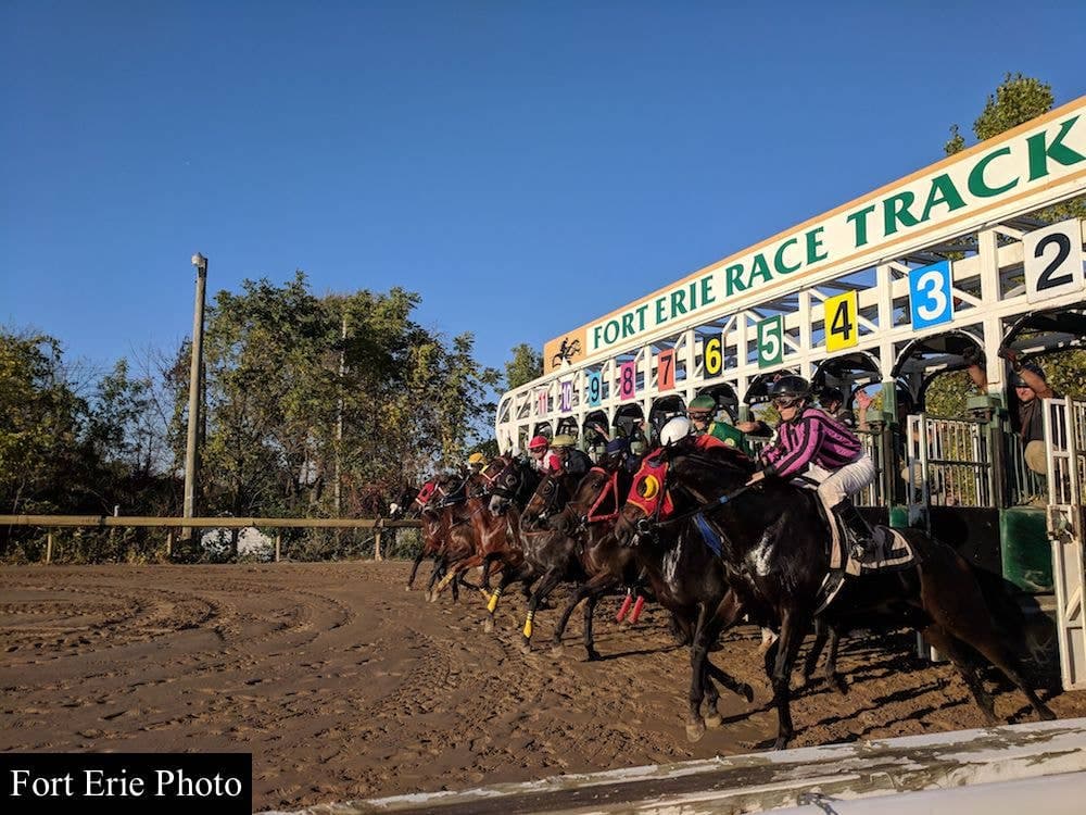 Fort Erie opening day handle jumps 28 percent on local support