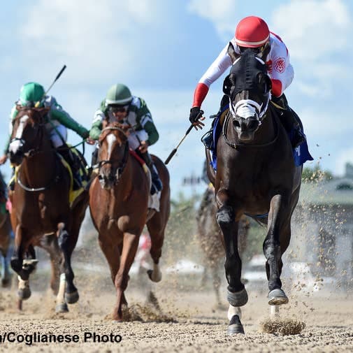 Watson wins Proud Man Stakes in neck thriller at Gulfstream Park