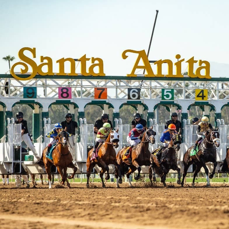Tribalism’s Santa Anita win highlights No Nay Never’s North American impact