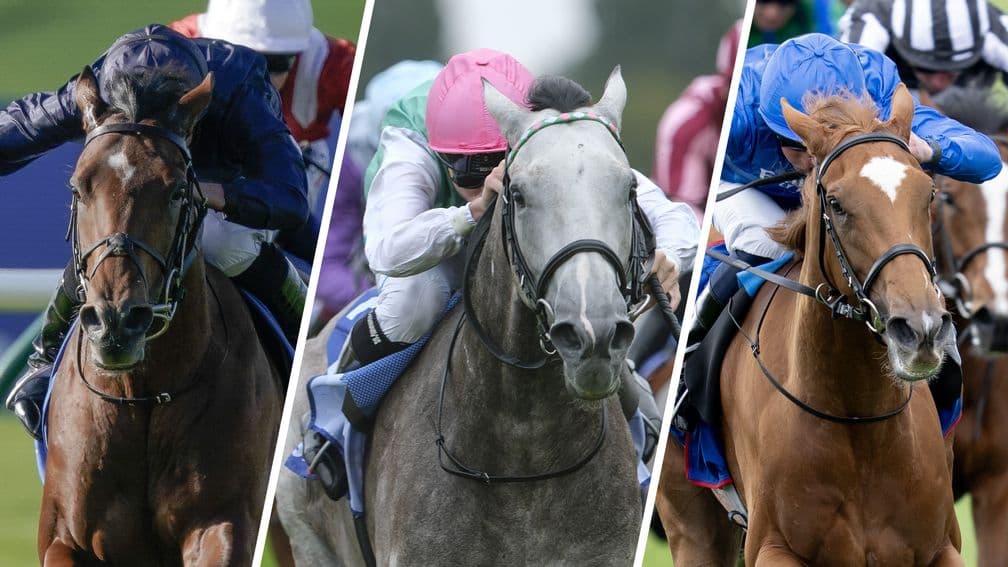 Newmarket July Festival could unveil the next Classic star