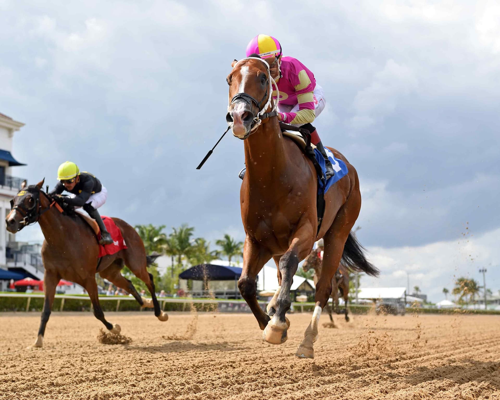 Vanderbilt breaks maiden at Gulfstream, boosts stakes hopes