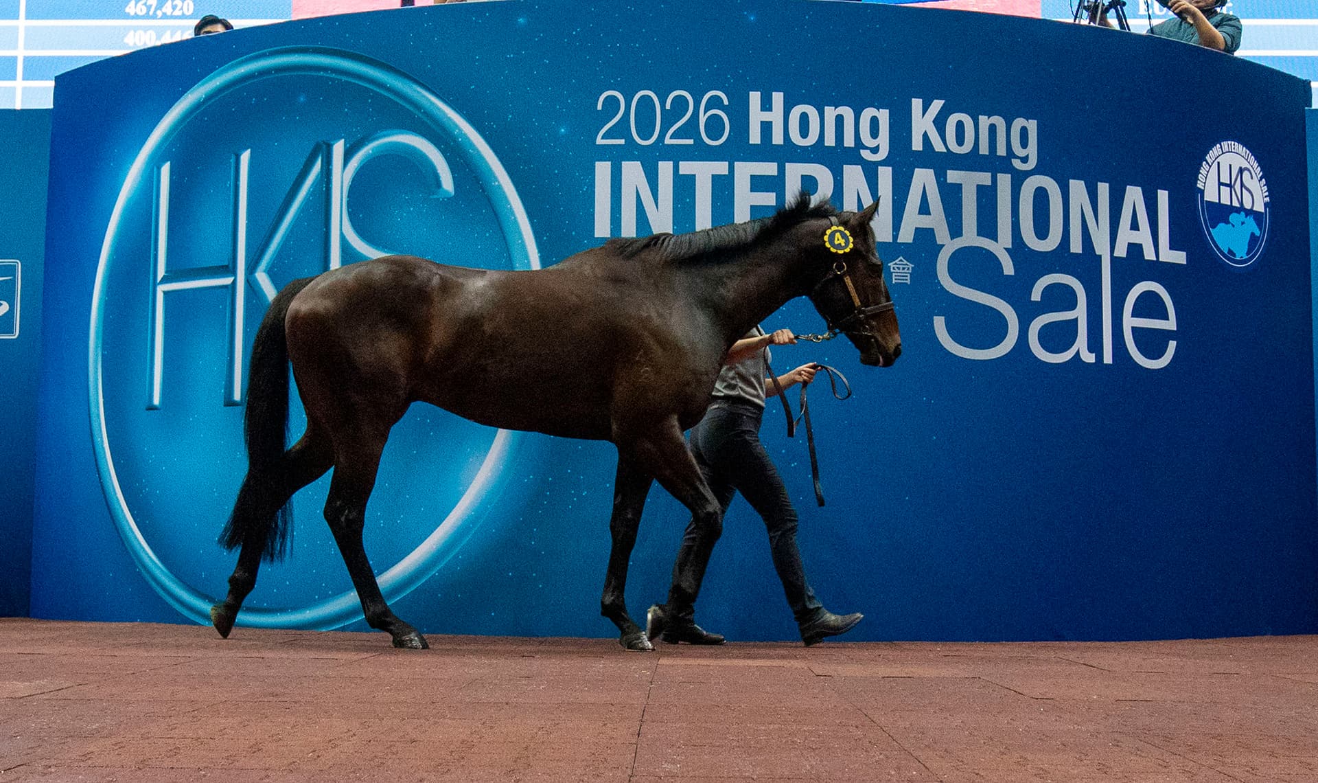 Deep Field gelding tops Hong Kong International Sale at HK$9.2 million