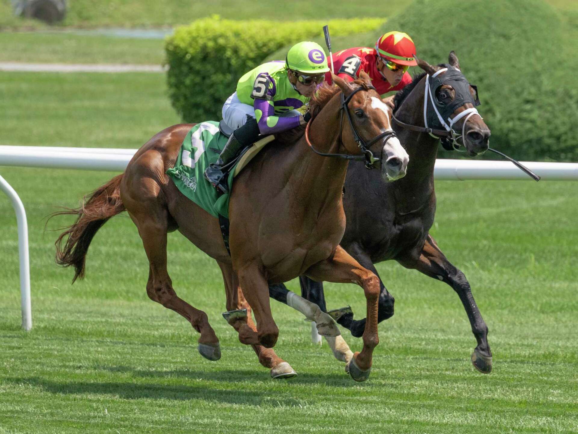 Mashallah rebounds at Saratoga, hints at stakes potential
