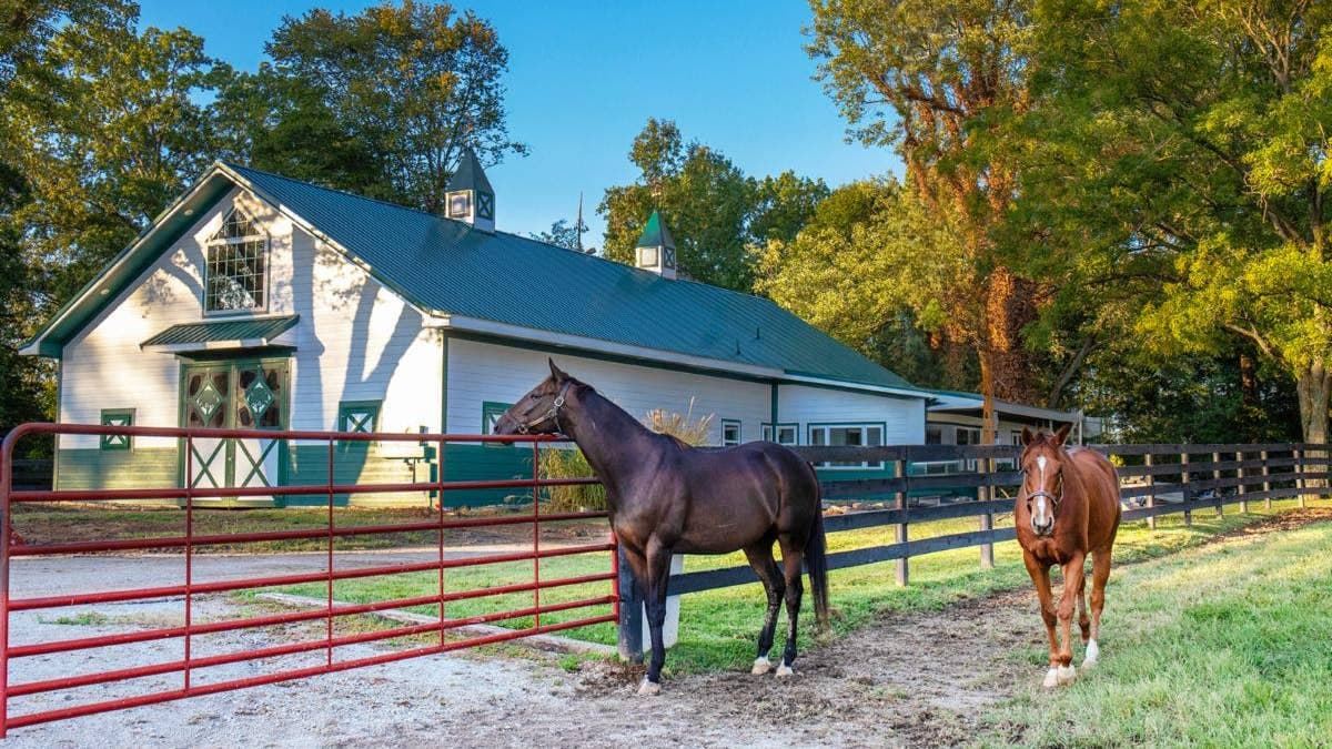 Second Stride launches $50,000 challenge for Churchill Downs aftercare campaign