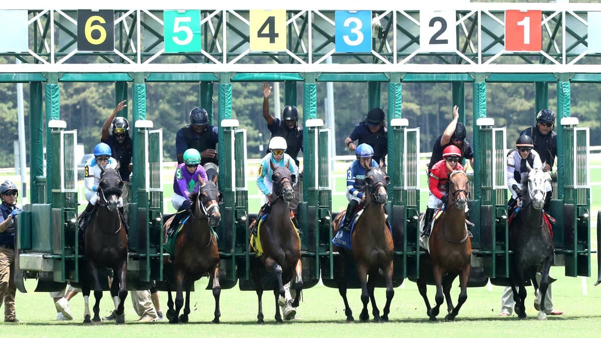 Colonial Downs shifts schedule as heat forces nationwide racing changes