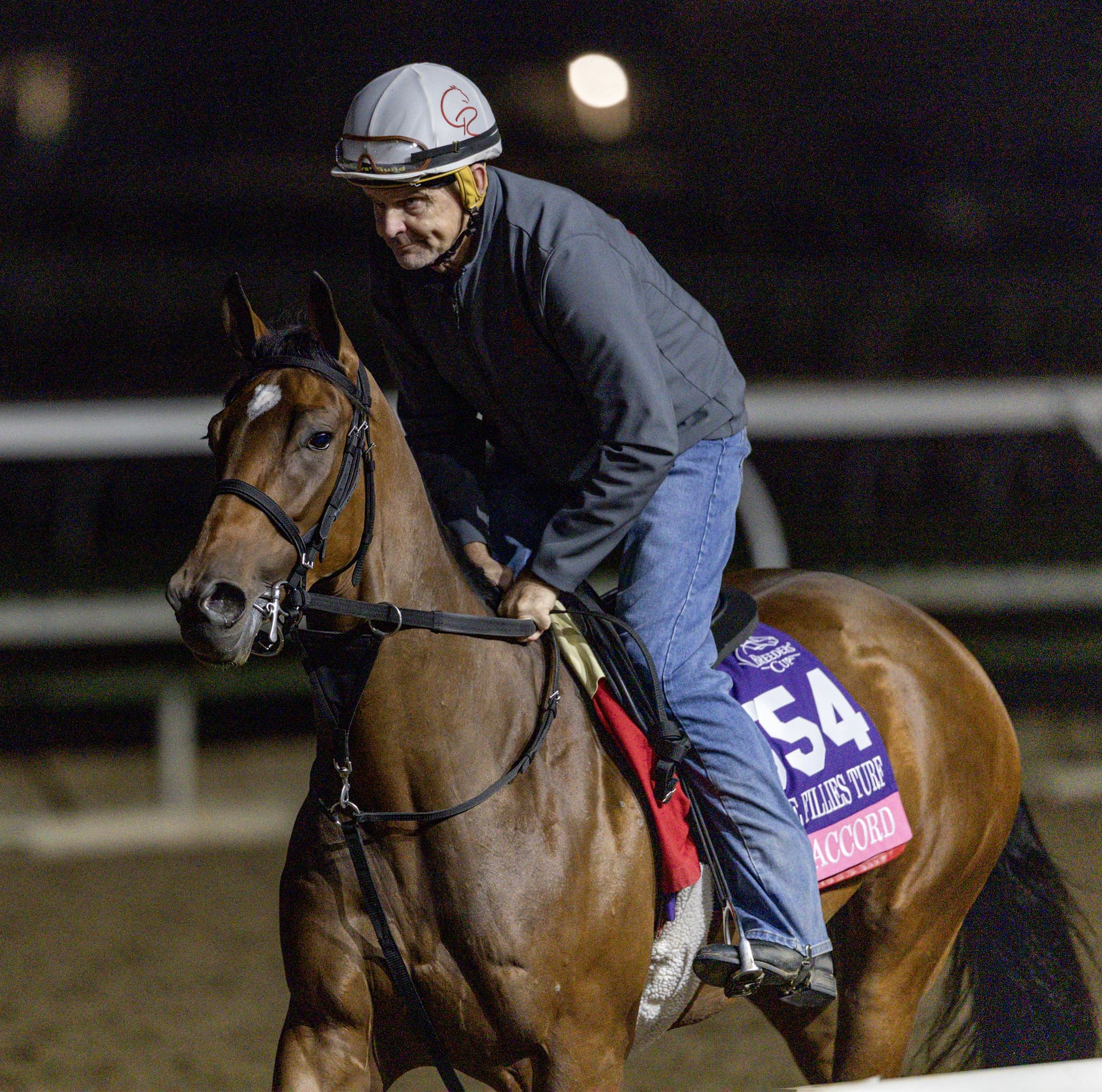 Final Accord seeks the right fit in Penn Oaks test