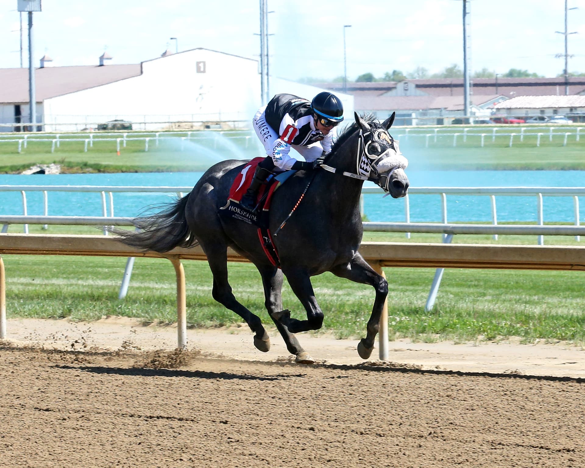 Jr Shadow Boy seeks stakes breakthrough in Sagamore Sired Handicap