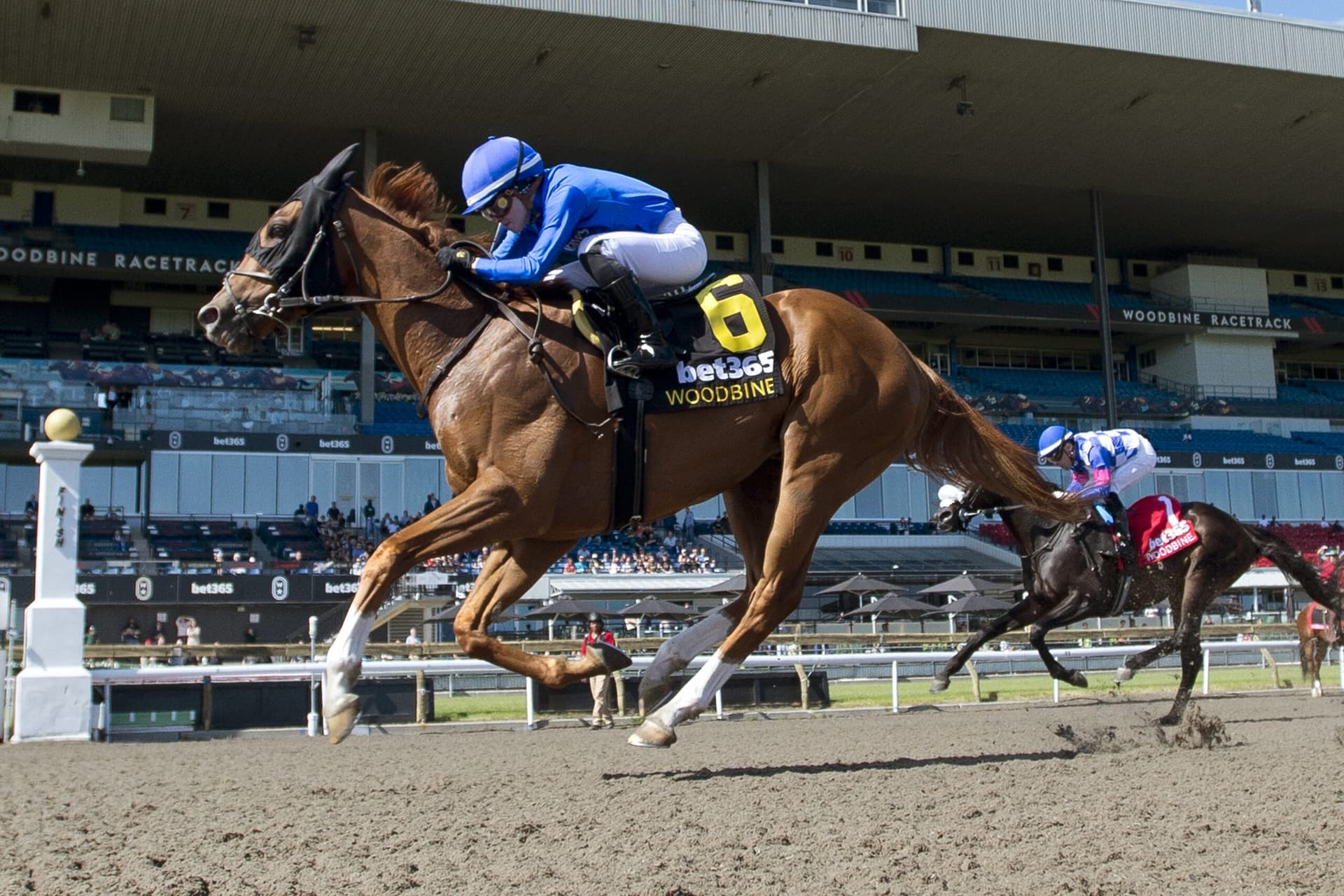 Maycocks Bay wires Eclipse Stakes as Godolphin sweeps Woodbine double