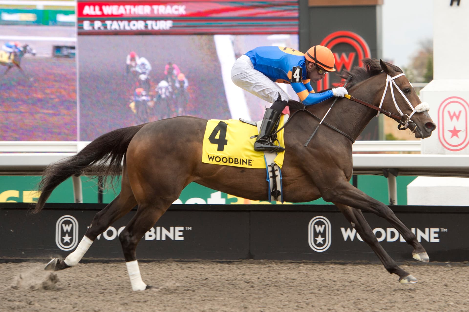 Reagan’s Flame rallies late to win Grade 3 Whimsical Stakes at Woodbine