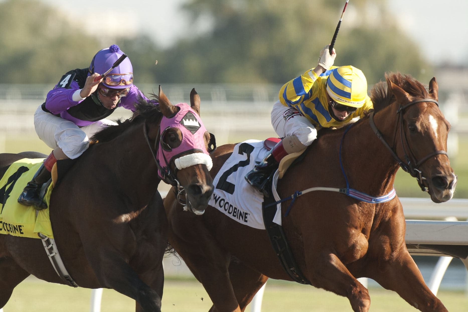 Poulin in O T overcomes rough start to win Pink Lloyd Stakes
