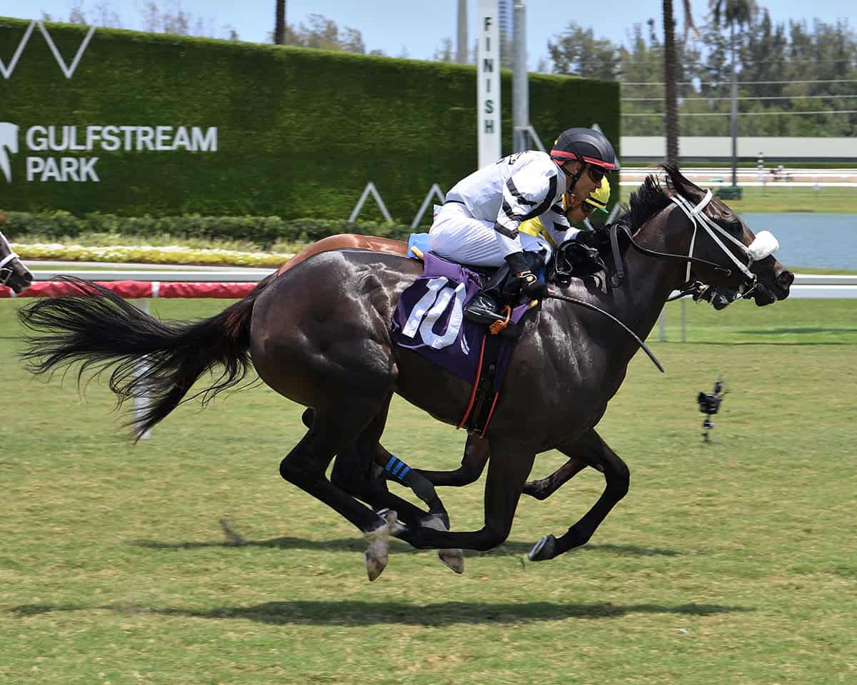 Mitts becomes Gretzky the Great's first winner after Gulfstream inquiry