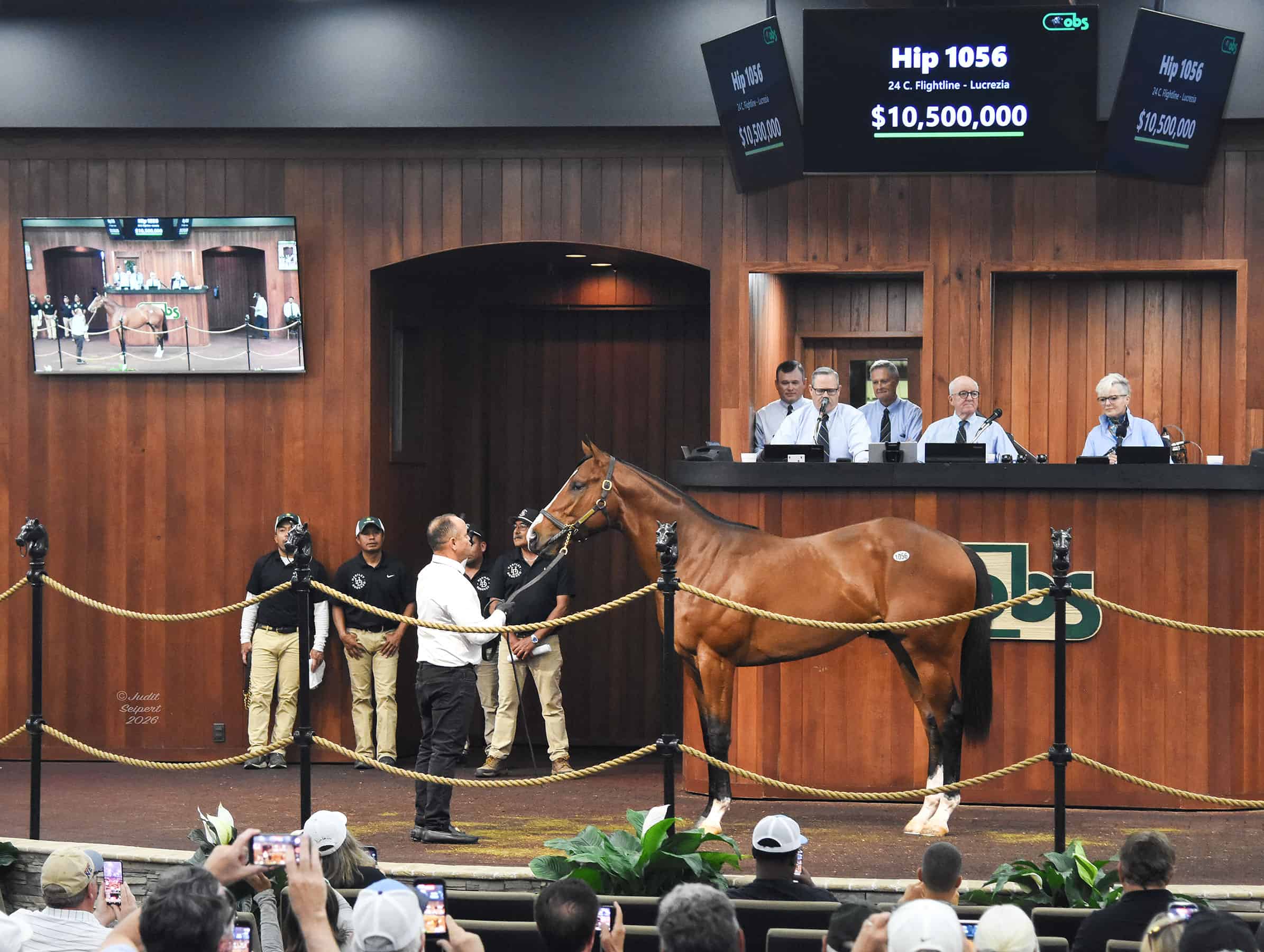 Flightline progeny keep setting records in sales and on turf