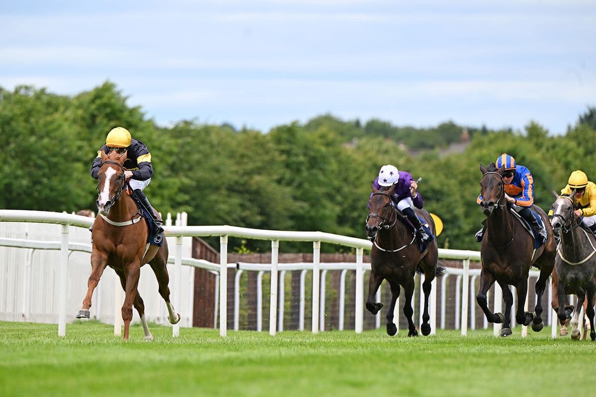 Concorde Landed dazzles on Naas debut, eyes York next