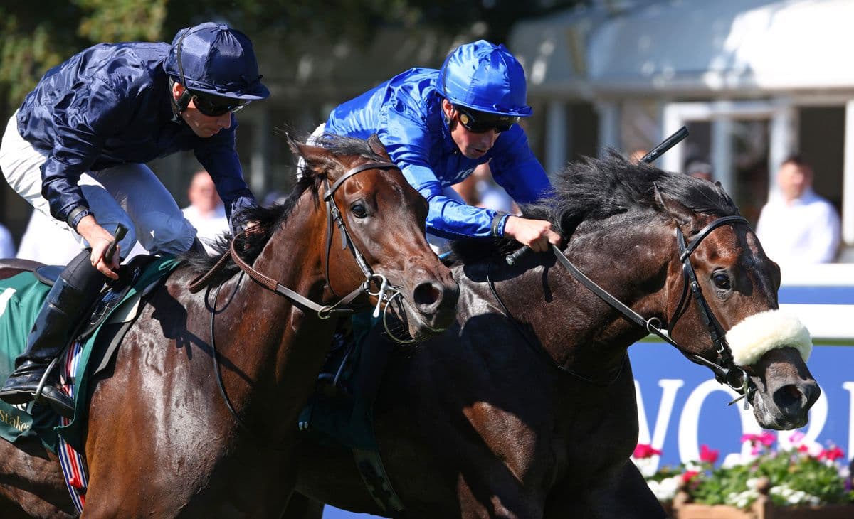 Al Hudaiba stuns Abraham Lincoln in Superlative Stakes photo finish