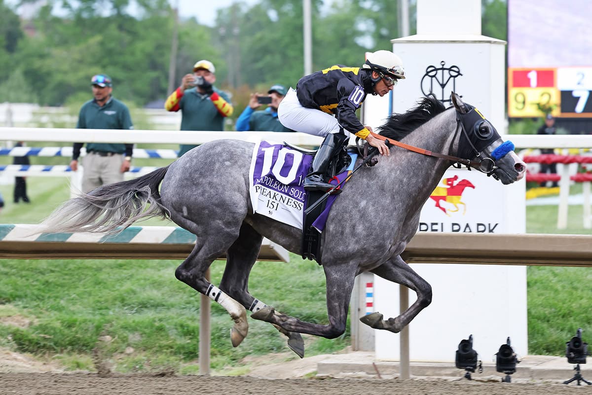 Napoleon Solo, Iron Honor headline 19-horse Haskell Stakes nominations
