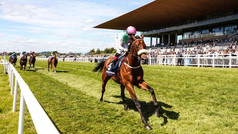 Purview wins Curragh Group 3, heads toward Breeders’ Cup Turf