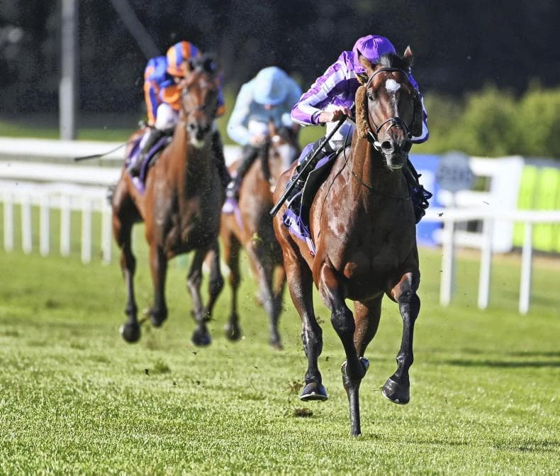 Endorsement routs Leopardstown rivals, boosts Derby hopes for Braddock, Bonnard