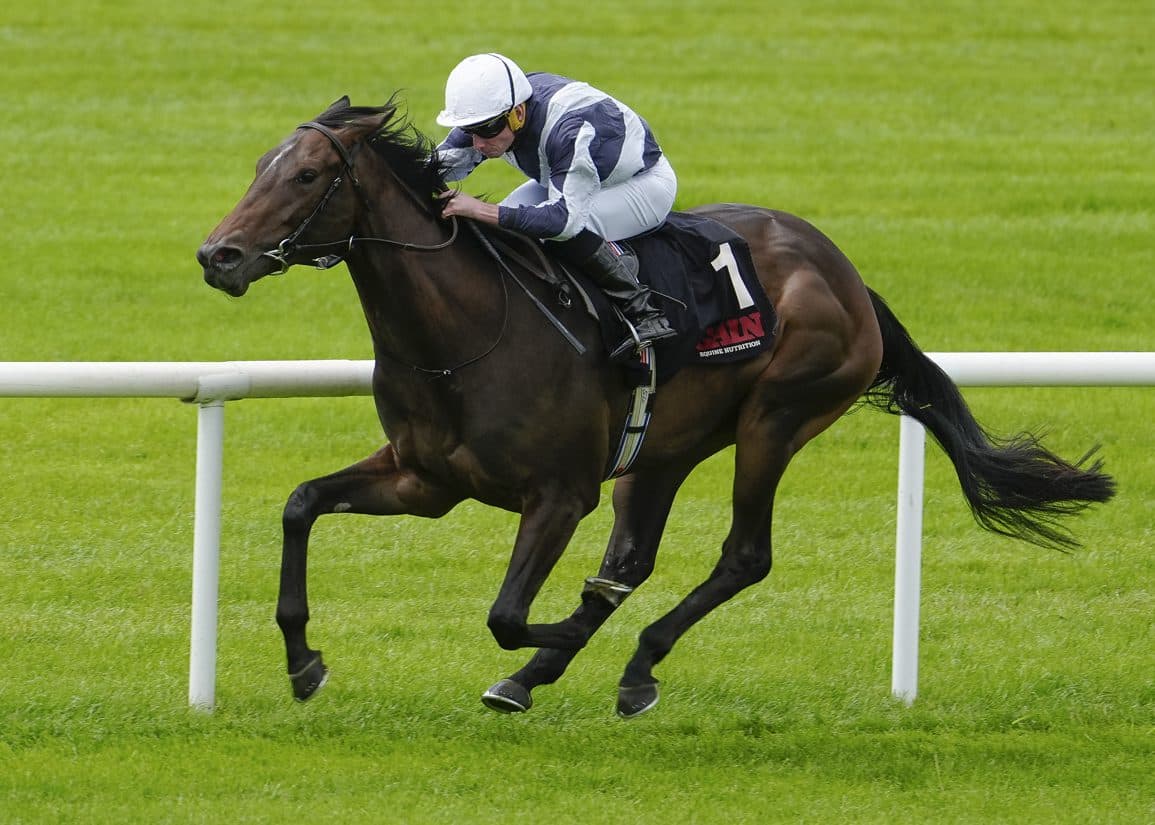 Alpha dazzles at The Curragh, earns TDN Rising Star status