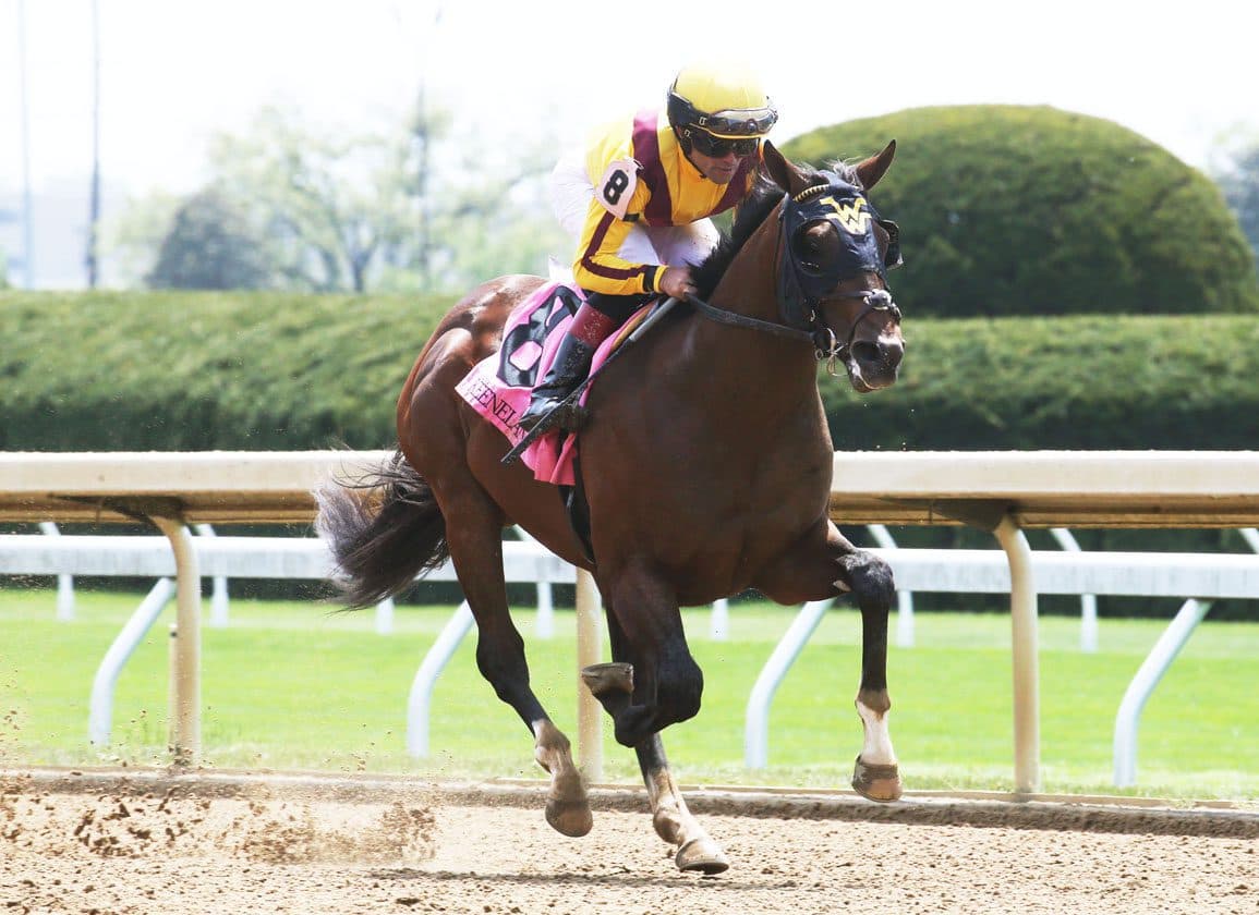 American Rascal set for stud duty in Argentina