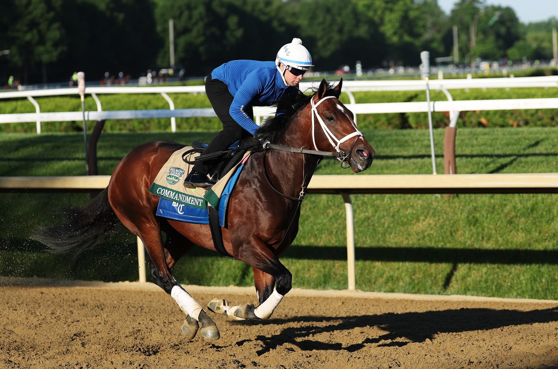 Nine jockeys, key storylines shape 158th Belmont Stakes at Saratoga