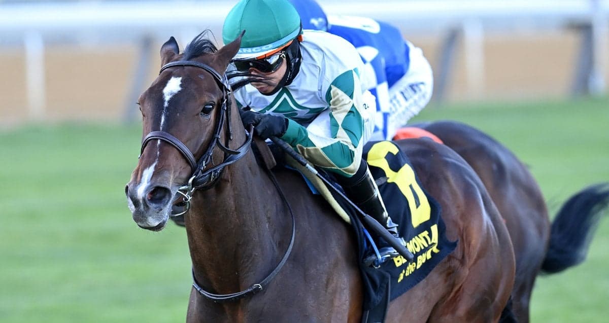 Love Cervere stays perfect at Belmont at the Big A, wins License Fee again