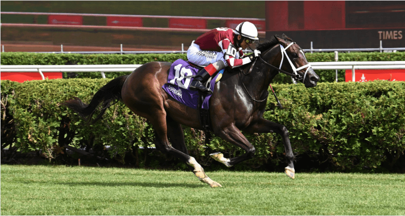 Cy Fair looms as filly to beat in Saratoga’s Coronation Cup