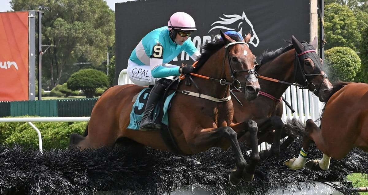 Jimmy P targets familiar Saratoga hurdles in Beverly R. Steinman return