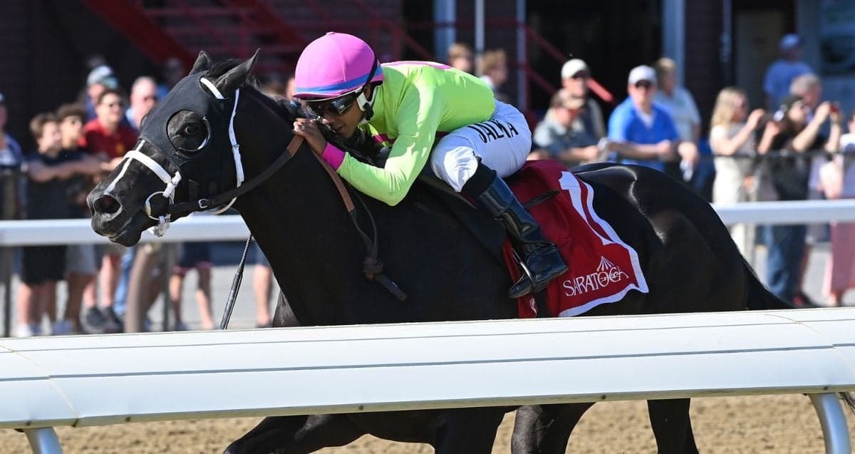 Sculcos Folly dominates Mike Lee Stakes, eyes graded company next