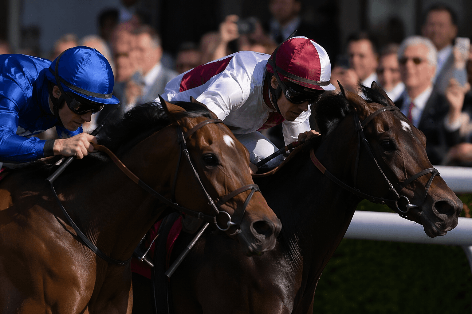 Behrayna stays unbeaten with Group 2 Prix de Malleret win