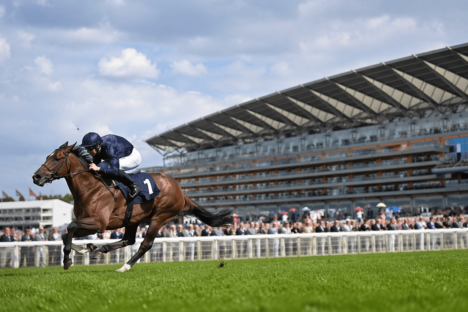 Lazzat ruled out of Royal Ascot title defense after setback