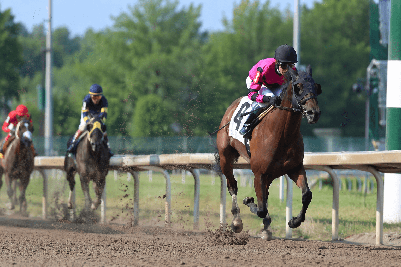 Box Office Hit gives Idol first-crop winner with Thistledown romp