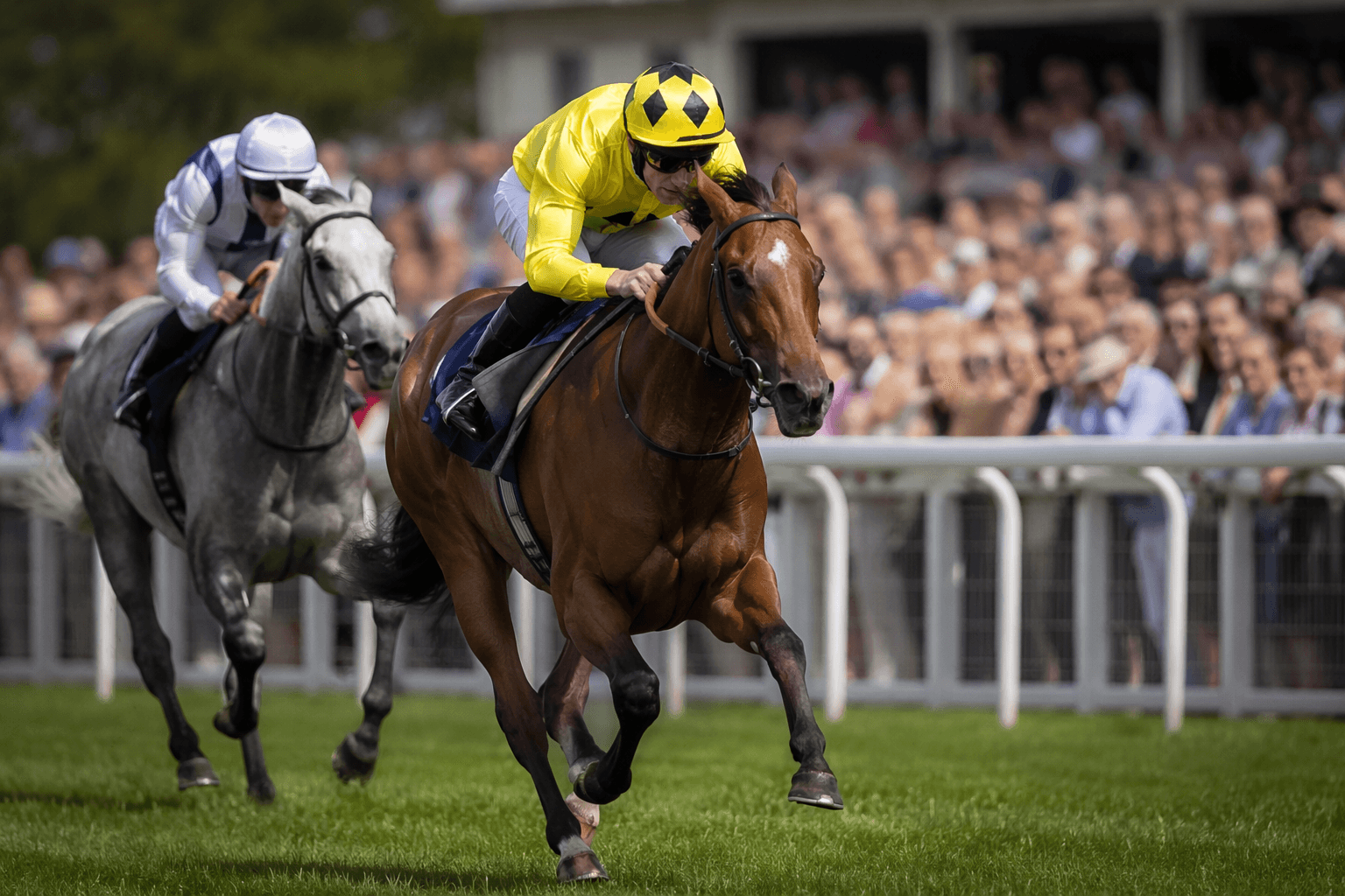 Jonquil powers to Paradise Stakes win, emerges as Queen Anne contender