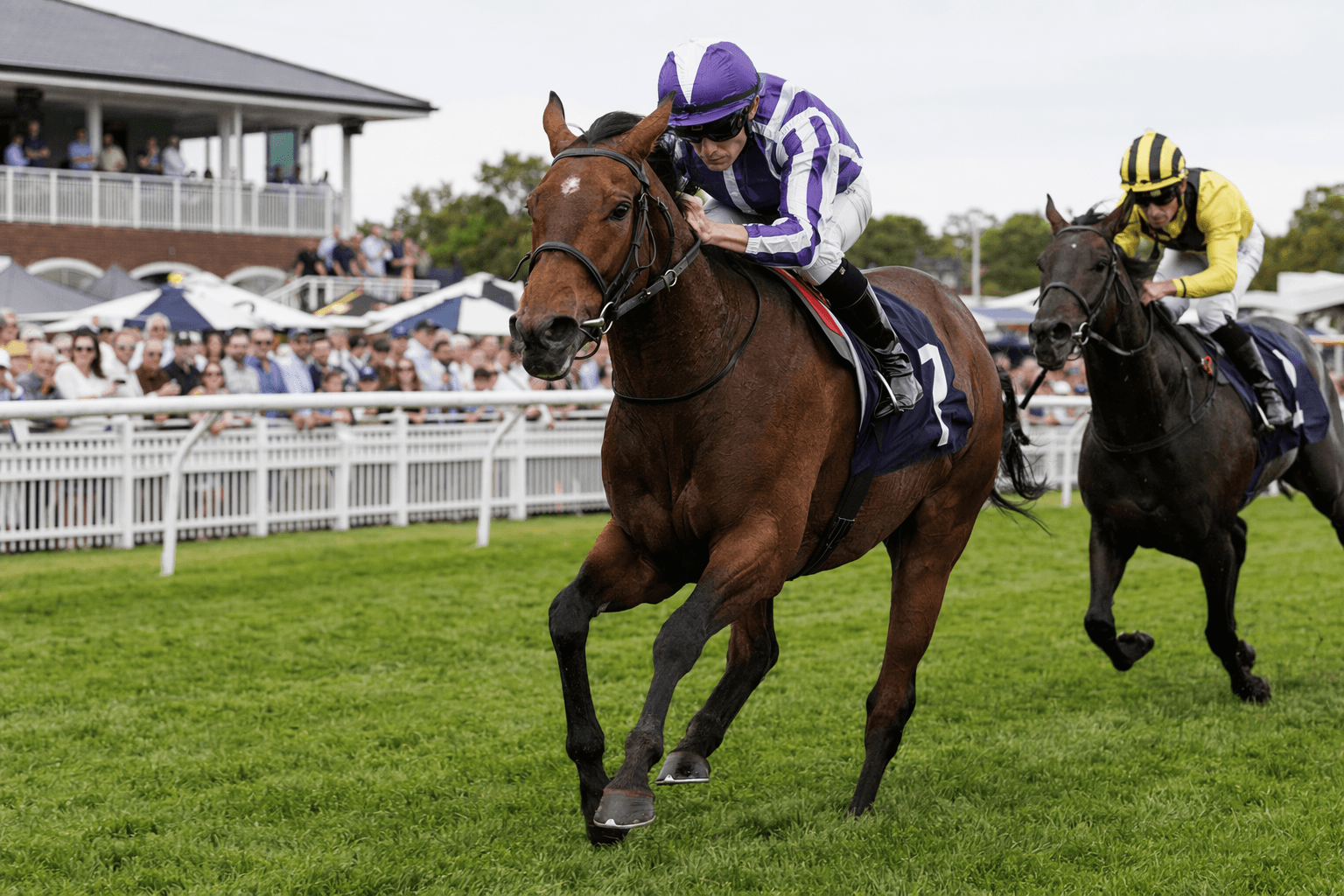 Tornado Tower strikes at Chester, full-brother to Hurricane Lane wins maiden
