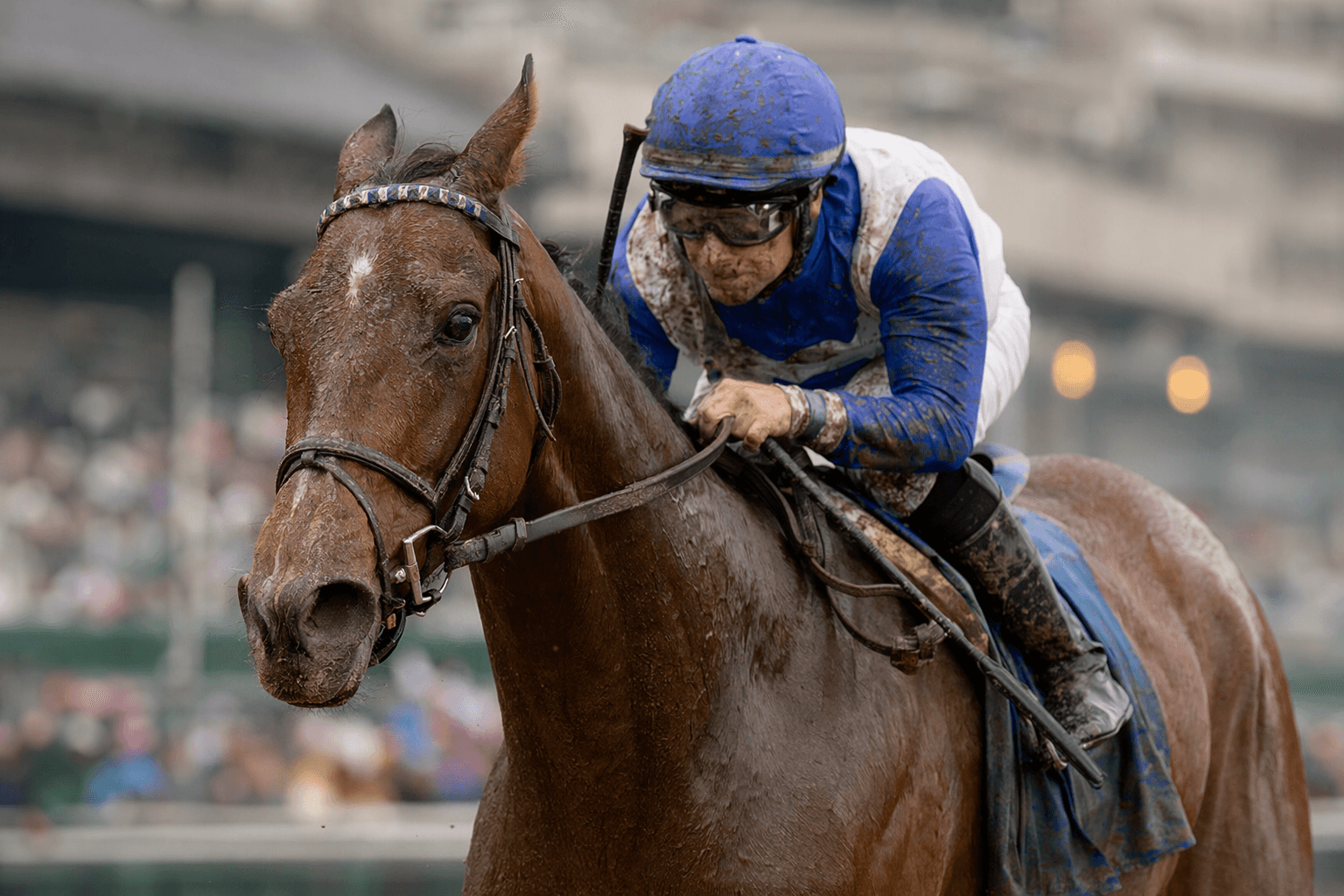 Chasten chases Idiomatic's La Troienne legacy in Churchill showdown