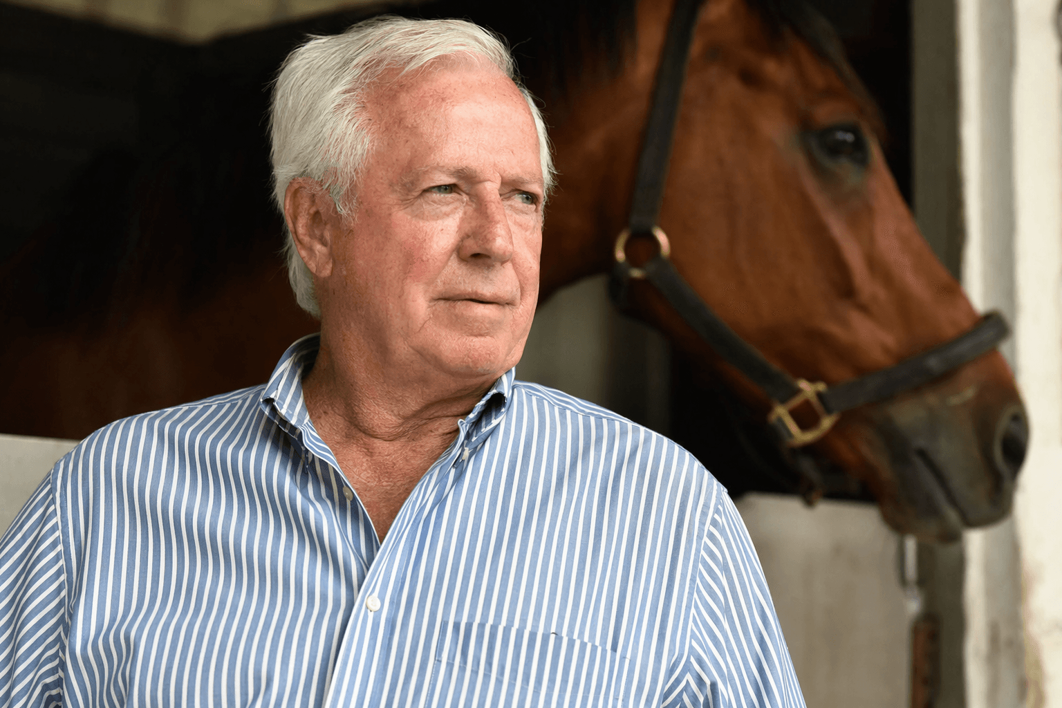 Veterinarian, breeder Doc Solomon dies at 84, shaped Mid-Atlantic racing