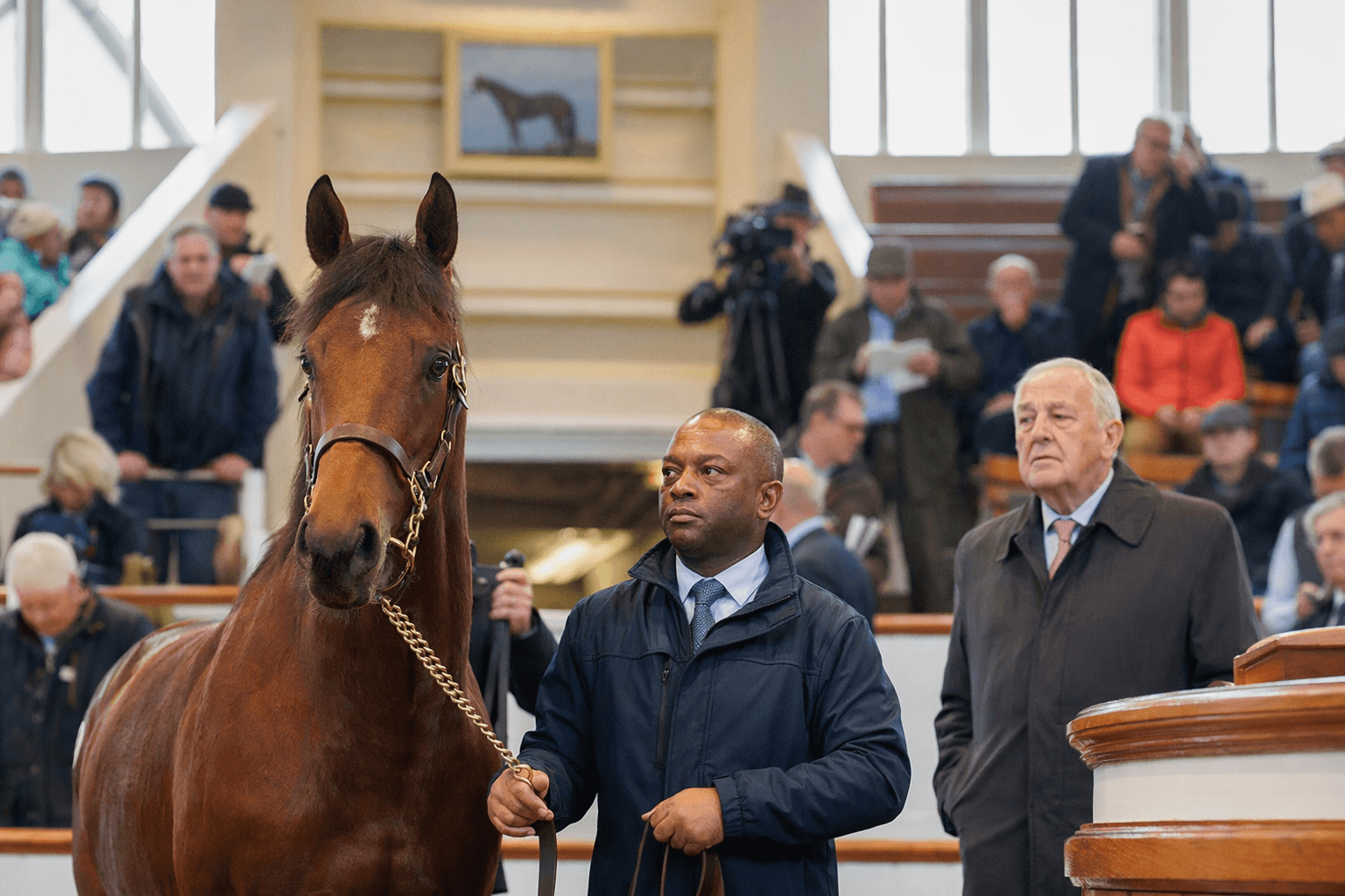 Willie Browne, 80, keeps breaking breeze-up records with million-guinea colts