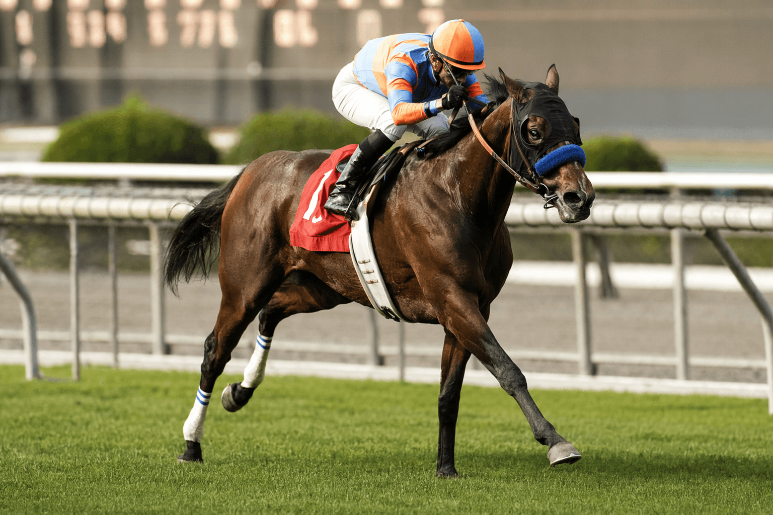 Queen Maxima stays perfect on Santa Anita hill with Mizdirection win