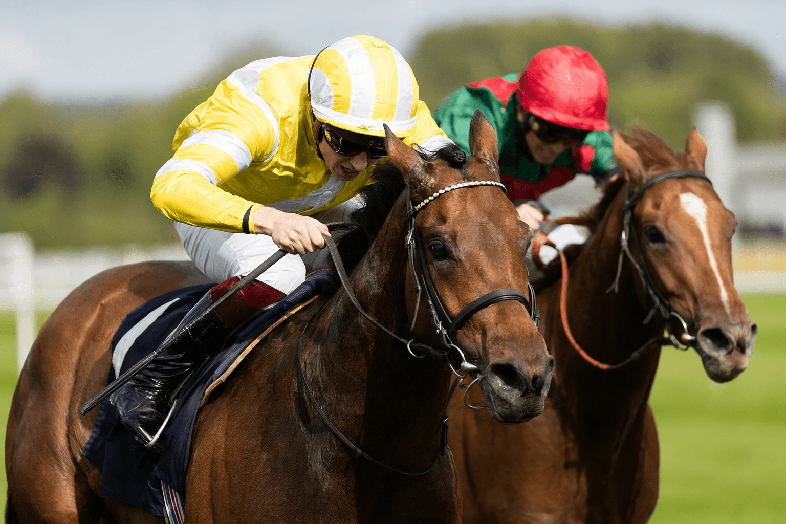 Havana Anna edges Goffs Lacken Stakes, eyes Royal Ascot options