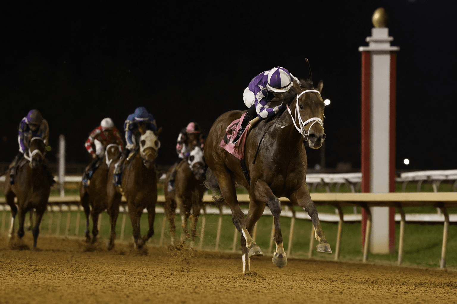 Tragedy mars Laurel Park opener as debuter Hit Zero dies after race